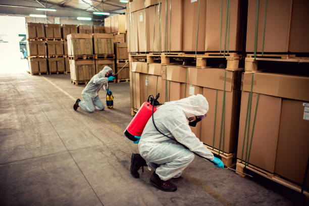 Best Termite Control Services  in Watkins Glen, NY