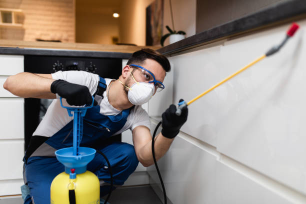 Best Wasp Removal Services  in Watkins Glen, NY