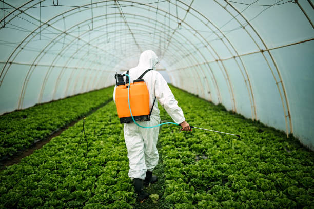 Reliable Watkins Glen, NY Pest Control Solutions