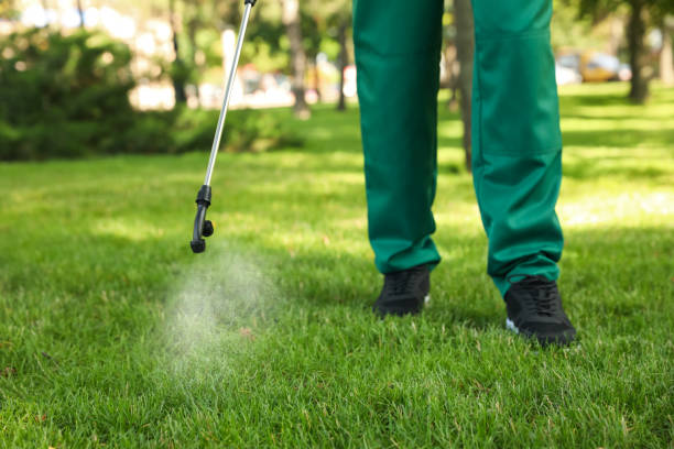 Best Best Pest Control Companies  in Watkins Glen, NY