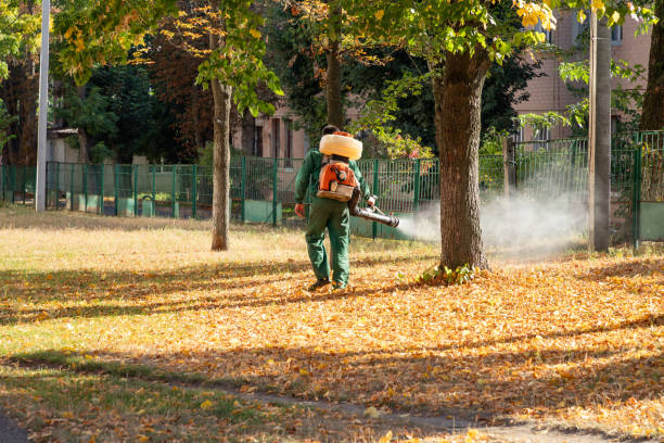 Best Cockroach Control Services  in Watkins Glen, NY