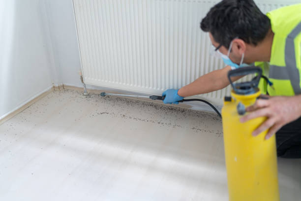 Best Emergency Pest Control  in Watkins Glen, NY