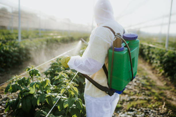 Reliable Watkins Glen, NY Pest Control Solutions